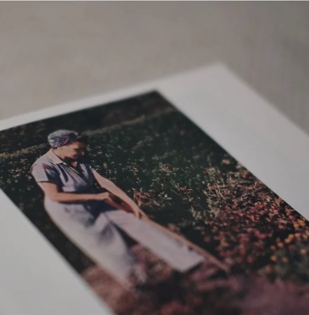 The Garden of Eternal Echoes