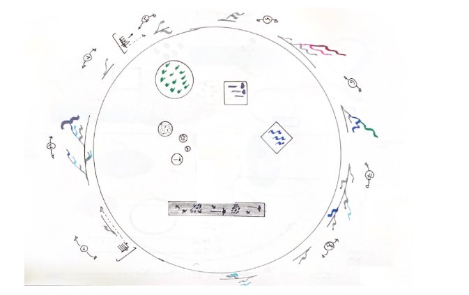 The Trace of Echoes score